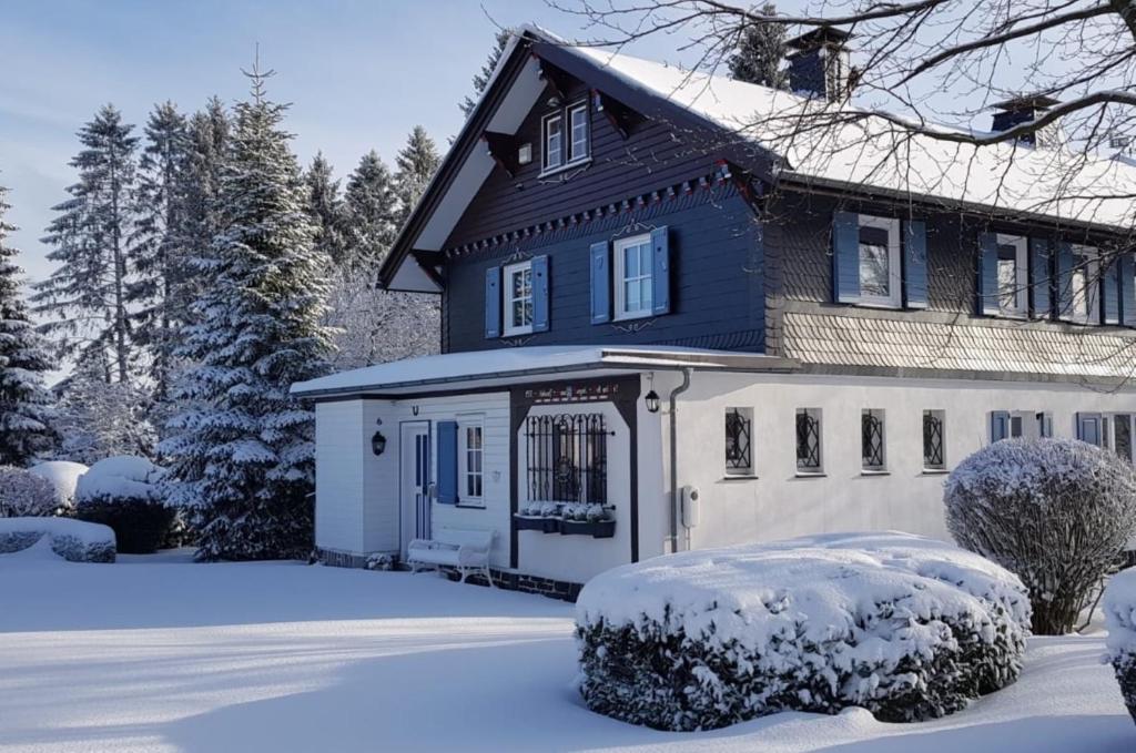 Vakantiehuis Winterberg in de sneeuw